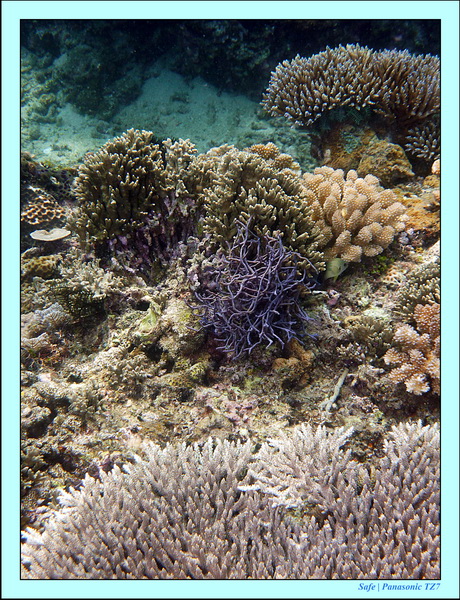 2012 - 07 - Boracay plongee - 10